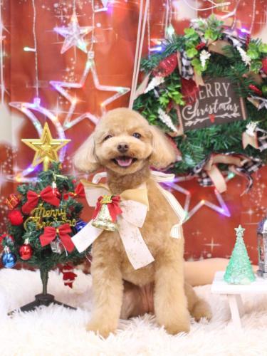 20231217ララちゃん